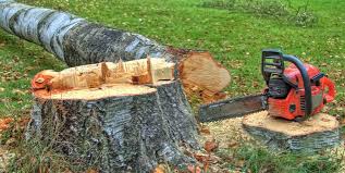 Best Firewood Processing and Delivery  in Williamston, MI